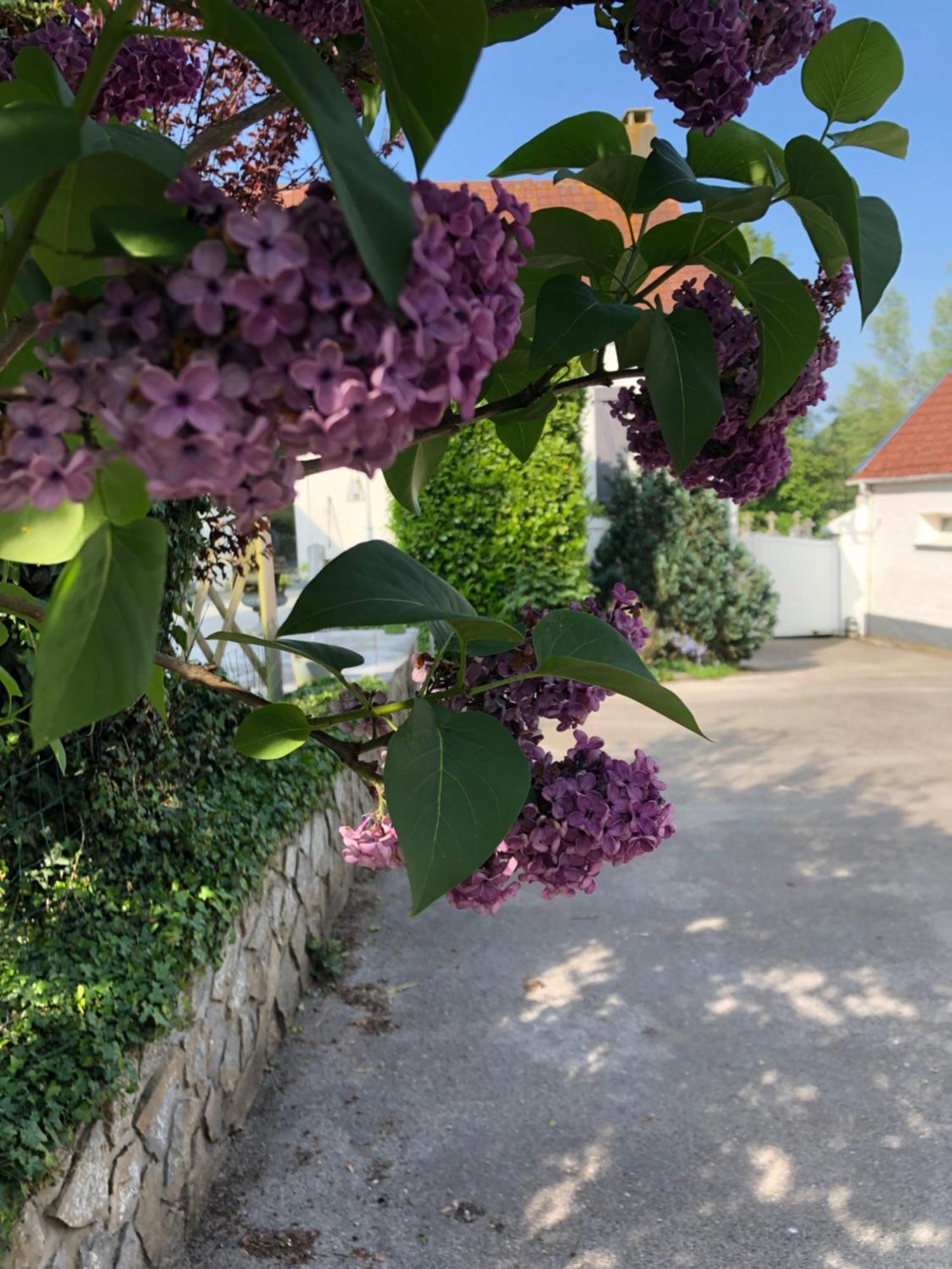 Le Clos De La Pommeraie Carly מראה חיצוני תמונה
